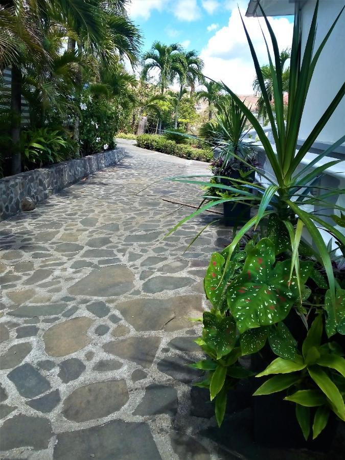 Méro Caribbean Sea View Holiday Apartments מראה חיצוני תמונה